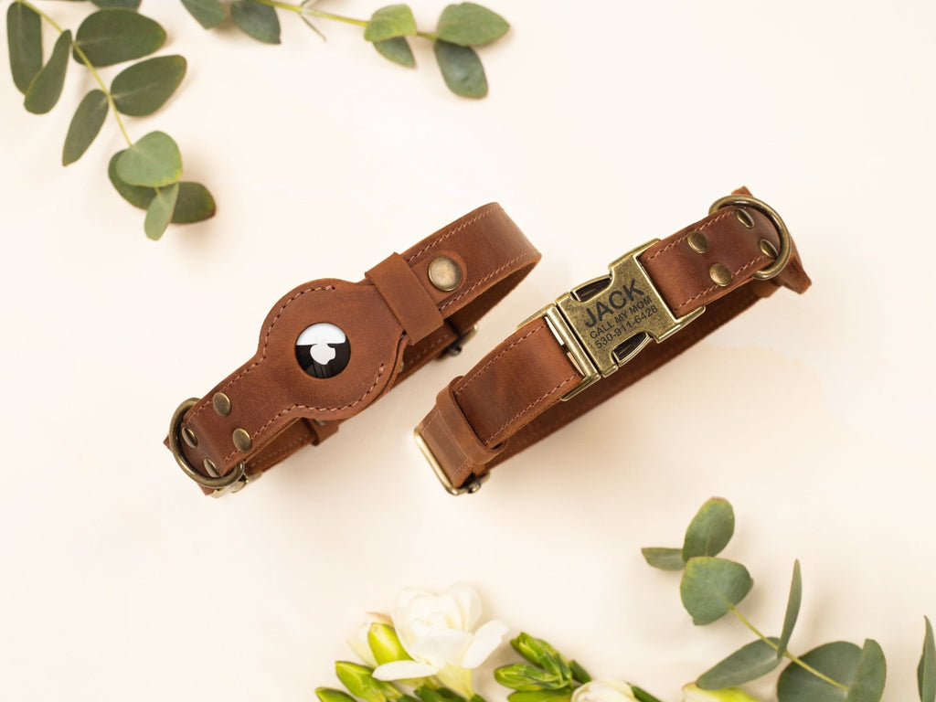 Leather Dog Collar with AirTag Case - St George Leather Shop