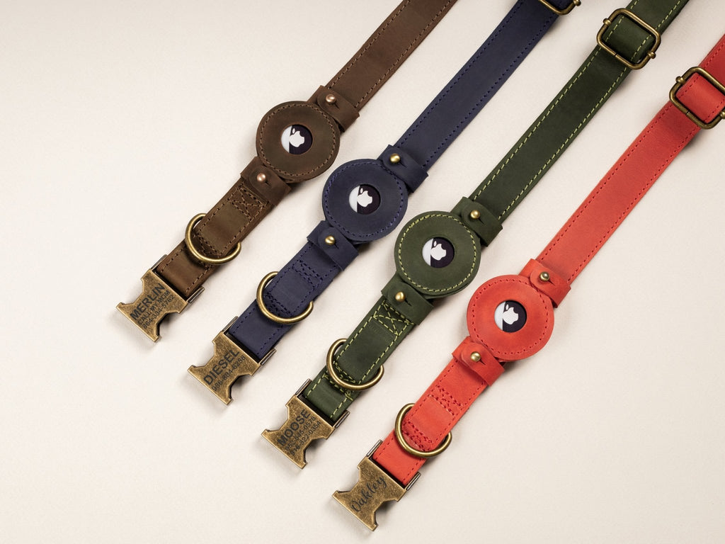 Leather Dog Collar with Rustic Buckle - St George Leather Shop