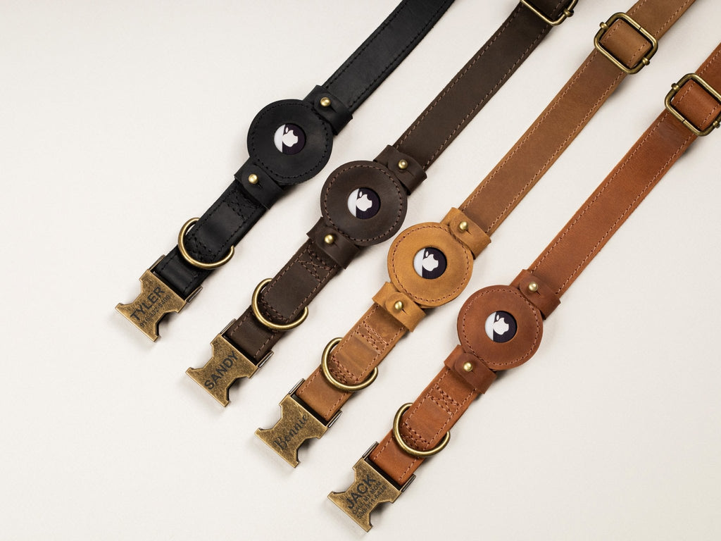 Leather Dog Collar with Rustic Buckle - St George Leather Shop