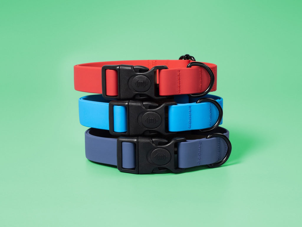 Waterproof Dog Collar with Plastic Buckle - St George Leather Shop