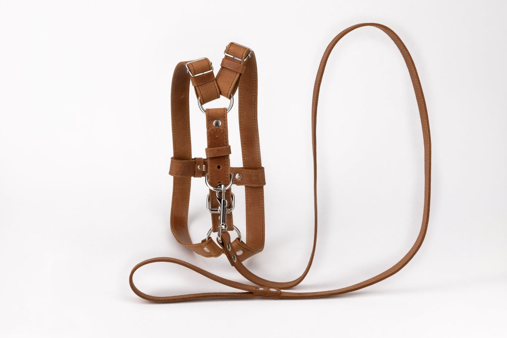 Leather Dog Chest Harness - St George Leather Shop