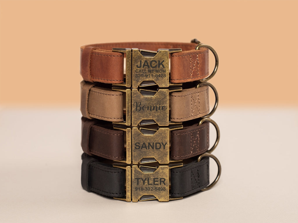 Leather Dog Collar with Rustic Buckle - St George Leather Shop