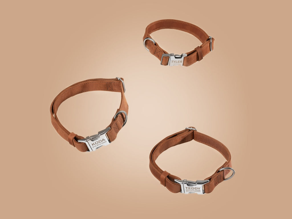Leather Dog Collar with Silver Buckle - St George Leather Shop